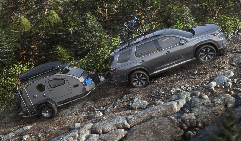 2025 Honda Pilot in Fredericksburg, VA