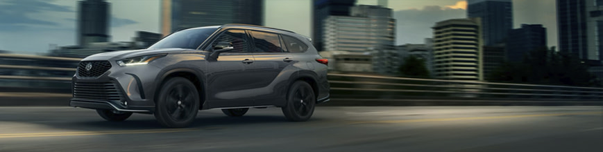 where bold design meets everyday elegance