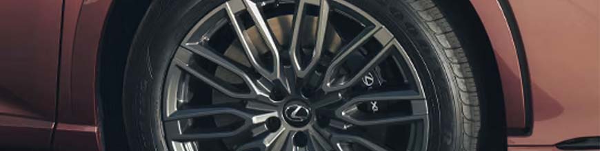 Sheehy_Lexus_RX_2025