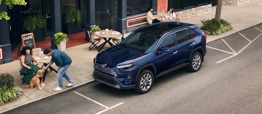 2025 Toyota RAV4
